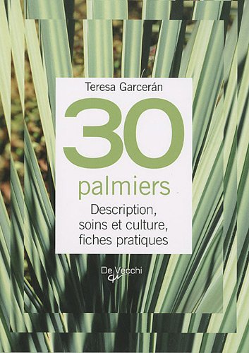 30 palmiers