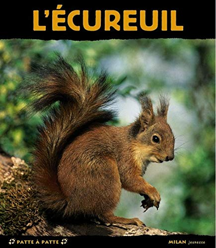 écureuil (L')