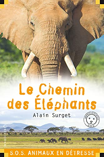 Le chemin des éléphants