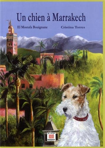 Un chien à Marrakech