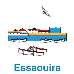 Catalogue de la médiathèque d'Essaouira