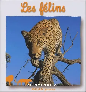 Les félins