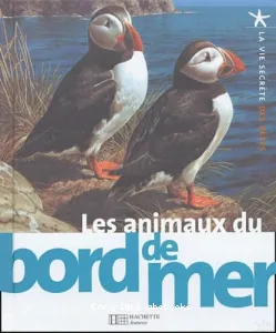 Les animaux du bord de mer