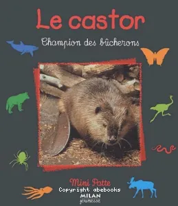 Le castor