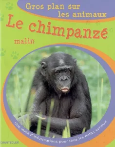 Le chimpanzé malin