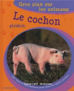 Le cochon glouton