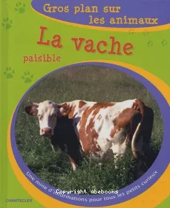 La vache paisible