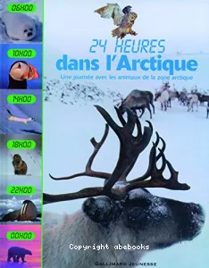 24 heures dans l'Arctique