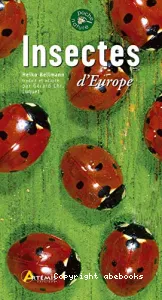 Insectes d'Europe