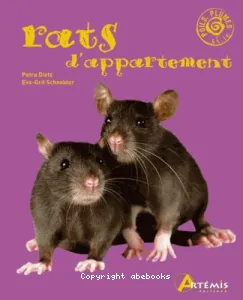 Les rats d'appartement