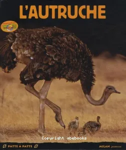 L'autruche