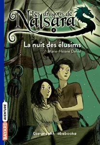 La nuit des élusims