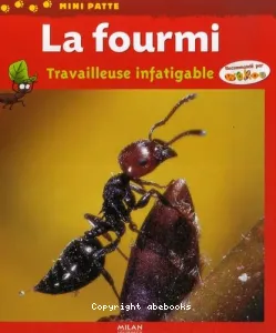 La fourmi