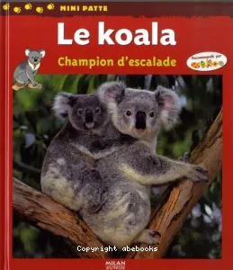 Le koala