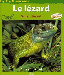 Le lézard