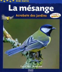 La mésange