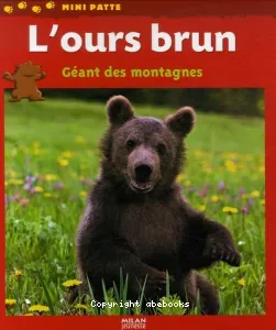 L'ours brun, géant des montagnes