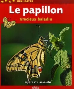 Le papillon, gracieux baladin