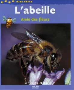 L'abeille, amie des fleurs