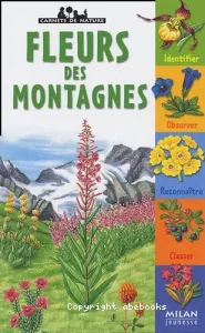 Fleurs des montagnes