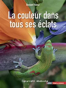 La couleur dans tous ses éclats