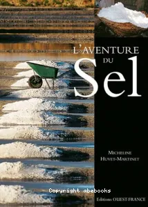 L'aventure du sel