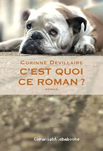 C'est quoi ce roman ?