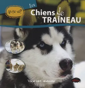 Les chiens de traîneau