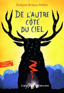 De l'autre côté du ciel