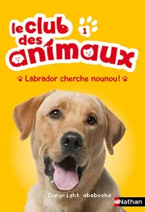 Labrador cherche nounou !