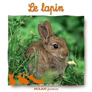 Le lapin