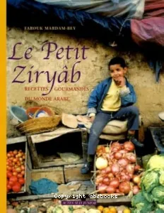 Le petit Ziryâb