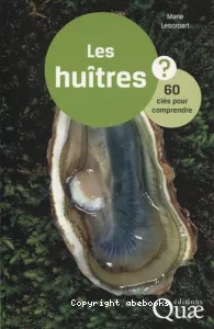 Les huîtres ?