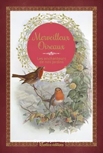 Merveilleux oiseaux