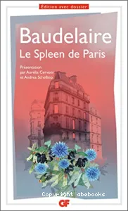 Le spleen de Paris