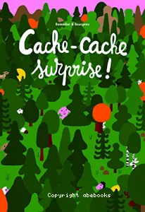 Cache-cache surprise !