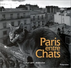 Paris entre chats