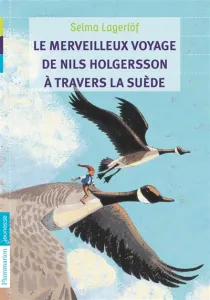 Merveilleux voyage de Nils Holgersson à travers la Suède (Le)