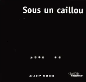 Sous un caillou