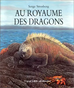 Au royaume des dragons