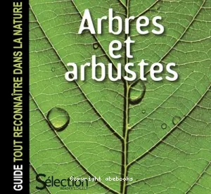 Arbres et arbustes