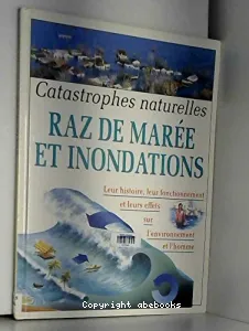 Raz de marée et inondations