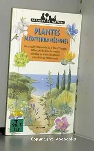 Plantes méditerranéennes