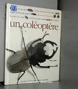 Qui suis-je? Un coléoptère