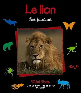 Le lion, roi fainéant