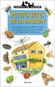 Petites bêtes de la maison