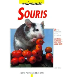 Souris