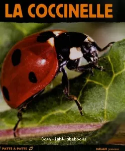 La coccinelle