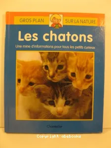 Les chatons