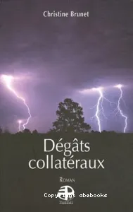 Dégâts collatérax